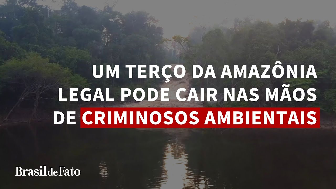 Um terço da Amazônia Legal pode cair nas mãos de criminosos ambientais